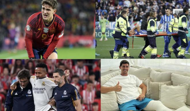 仅仅在体育 仅仅在体育